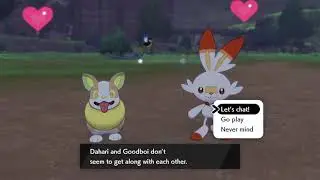 Just a Random Pok&eacute;mon Camp video