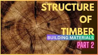 Structure of Timber Building Materials | Civil Engineering Exam| Building Materials
