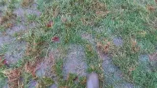 the river tone in flood near Wellington somerset January 2023