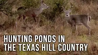 Hunting Ponds in the Texas Hill Country