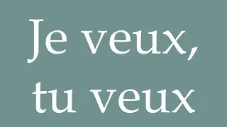 How to Pronounce ''Je veux, tu veux'' (I want, you want) Correctly in French