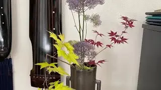 瑞士琴社/ Swiss Guqin Association 2020-2022