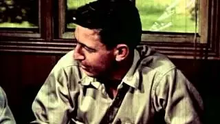 Story of a Forest Ranger, The (1954)