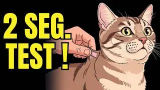Do This and Your Cat Will Drink DOUBLE the Water (Scientifically Proven Tips for Cat Health)