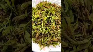 Chintha Chiguru Pachadi with old-fashioned taste.......