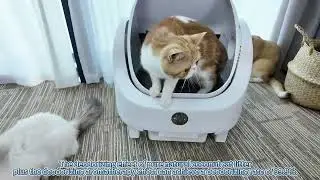 HEYBO PET Large Capacity Self Cleaning Cat Litter Box Safety App Control Odor Free Waste Bin Auto
