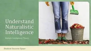 Understand Naturalistic Intelligence