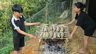 The wandering boy, the poor girl, turned off the stream water to catch fish and dried them to eat