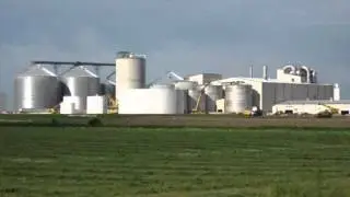 The Dead Zone: Farm Fertilizers to Fish Fatalities