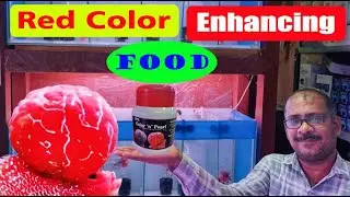 Red Color & Pearls Enhancing Fish Food I Fish Doctor India I Tamil