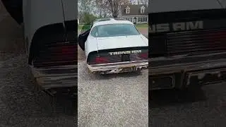 79 Trans am 1st Test Drive Since 2007!!..