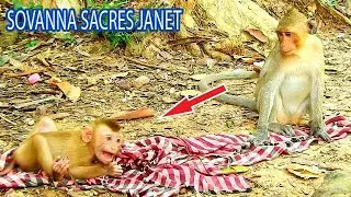 JANET WONDER || OUR TEAM TRIES TO PUT POOR BABY SOVANNA TO AMBER TROOP BUT NOT SUCCESS , SHE SCARE