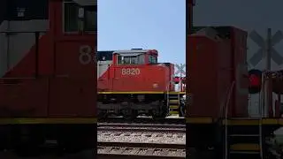 Fast Train Booking, Canadian National Railway In Illinois, JawTooth shorts