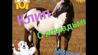 Клип под песню 