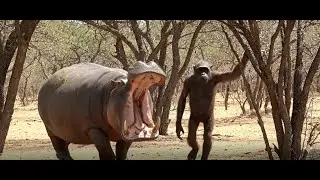 Prehistoric people: The dry season is harsh!
