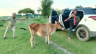 Bail Chor v/s Police || New Funny Comedy Video || By Apna Fun Joke