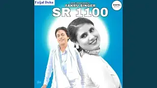 Fakru Singer SR 1100