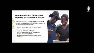 The Collaborative Partnership on Forests and the 16th Session of the United Nations Forum of Forests