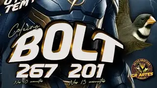 TORNEIO NACIONAL ETAPA FRIBURGO BOLT 268/201 