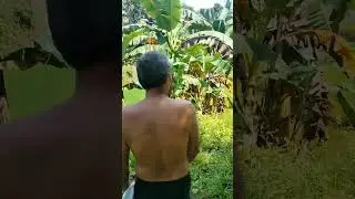 Mambusao Capiz Province