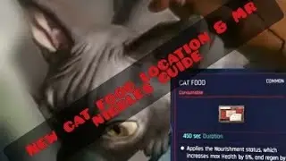 Cyberpunk: NEW cat food location - whole pet guide.