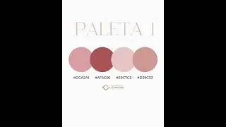 Qual paleta de cores te inspira mais?