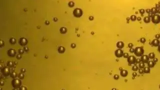 Beer Bubbles