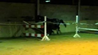 Sn&iacute;mek 053.MOV