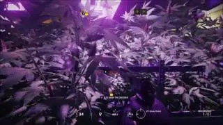 PistolRun