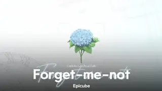 [Emotional piano] Forget-me-not by Epicube | 따뜻하고 섬세한 피아노 선율의 자작곡