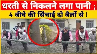 धरती से निकली पानी की धार; दो बैलों से होती है 4 बीघे की सिंचाई! प्रयागराज में अनोखा प्रयोग।