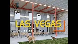 Coming Soon: Luxury Dog Training Facility in Las Vegas