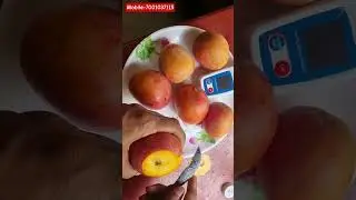 Arunika mango #shorts sho