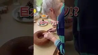 What is the true identity of the giant donut?