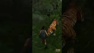 Tomb raider bangal tiger attek lara is dead | viral videos | yt shorts | new video graphice