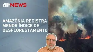“Floresta Amazônica atualmente é muito menor que em 2008”, diz especialista sobre desmatamento