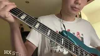 Bass groove Hx stomp review