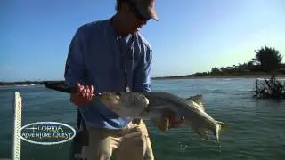 Big Snook in Charlotte Harbor - Florida Adventure Quest