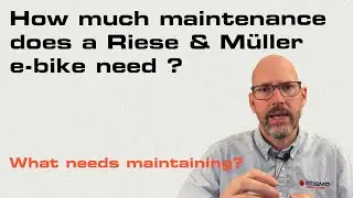 How much maintenance does a Riese & M&uuml;ller e-bike need?