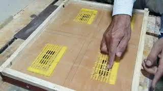 تلقيح الملكات تحت ضوء القمر