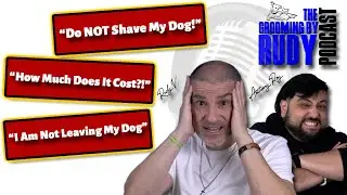 3 Things You Should Never Say to Your Dog Groomer