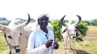 10 ઑક્ટોબર, 2025