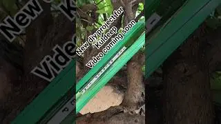 Diy #diy #diycrafts #project #support #shorts #creative #creativity #activity #reels #viral #1k #1m