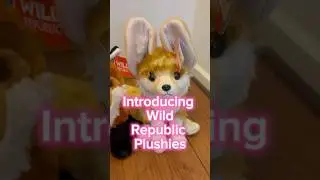 Find them at www.littlepawsplushies.com #essa #wildrepublic #plushies