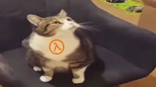 Half-Life Cat Spins