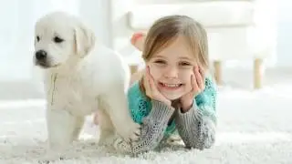 Puppy Training | Chicago, IL &ndash; Chicago Canine Academy