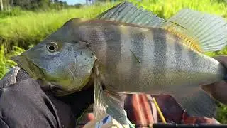 Azulão??? Pescaria de caiaque amigo veio conhecer ponto secreto dos azuis . Todo material descrição 