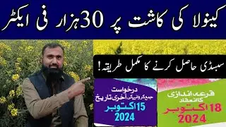 How to get subsidy on Canola cultivation in 2024 || Bilal Kanju Official