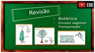 Revisão Botânica