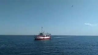 2018-05-10 Hel - port morski